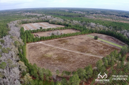 Turkey Pines Farm - Hunting & Recreational Retreat - image 17