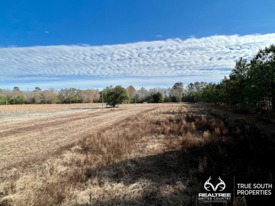 Turkey Pines Farm - Hunting & Recreational Retreat - image 32