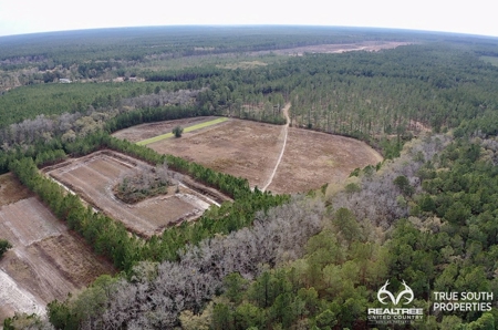 Turkey Pines Farm - Hunting & Recreational Retreat - image 14