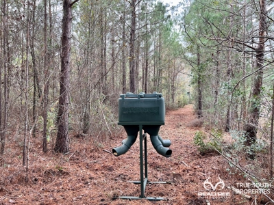 Turkey Pines Farm - Hunting & Recreational Retreat - image 27
