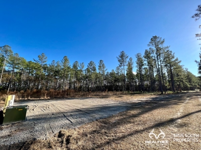 Turkey Pines Farm - Hunting & Recreational Retreat - image 10