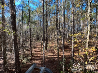 Turkey Pines Farm - Hunting & Recreational Retreat - image 34