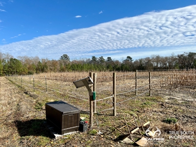 Turkey Pines Farm - Hunting & Recreational Retreat - image 31