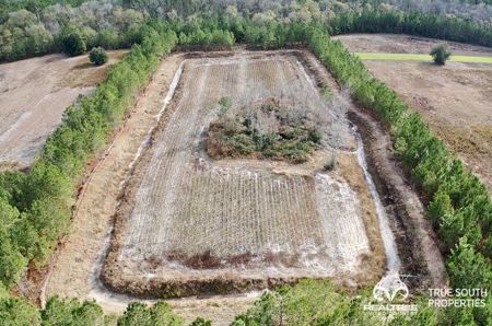 Turkey Pines Farm - Hunting & Recreational Retreat - image 8