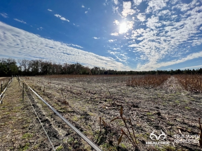 Turkey Pines Farm - Hunting & Recreational Retreat - image 30