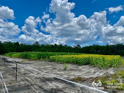 Turkey Pines Farm - Hunting & Recreational Retreat - image 41