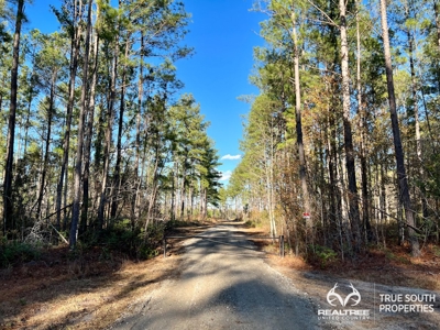 Turkey Pines Farm - Hunting & Recreational Retreat - image 49