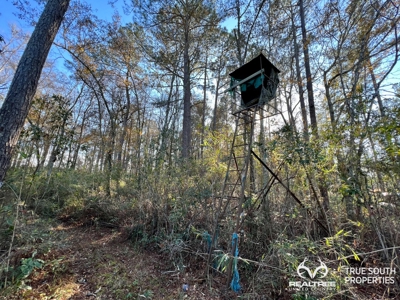 Turkey Pines Farm - Hunting & Recreational Retreat - image 38