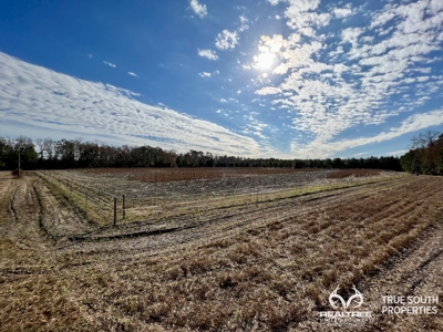 Turkey Pines Farm - Hunting & Recreational Retreat - image 6