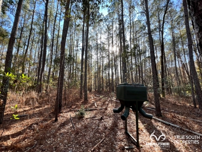 Turkey Pines Farm - Hunting & Recreational Retreat - image 11