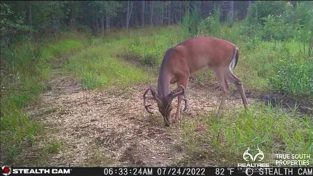Turkey Pines Farm - Hunting & Recreational Retreat - image 43