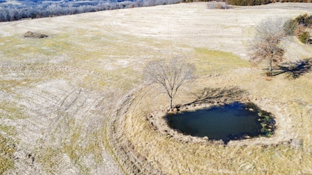 Online Only Auction Moniteau County, MO Farm Land - image 10