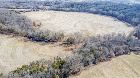Online Only Auction Moniteau County, MO Farm Land - image 19