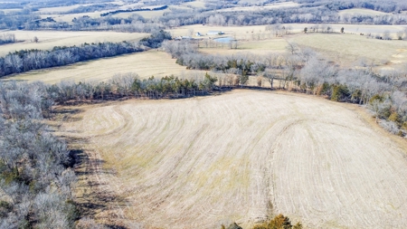 Online Only Auction Moniteau County, MO Farm Land - image 16