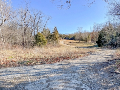 Online Only Auction Moniteau County, MO Farm Land - image 28