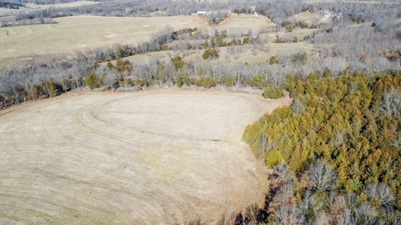 Online Only Auction Moniteau County, MO Farm Land - image 21
