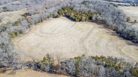 Online Only Auction Moniteau County, MO Farm Land - image 20