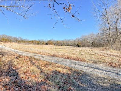 Online Only Auction Moniteau County, MO Farm Land - image 29