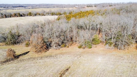 Online Only Auction Moniteau County, MO Farm Land - image 14
