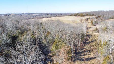 Online Only Auction Moniteau County, MO Farm Land - image 3