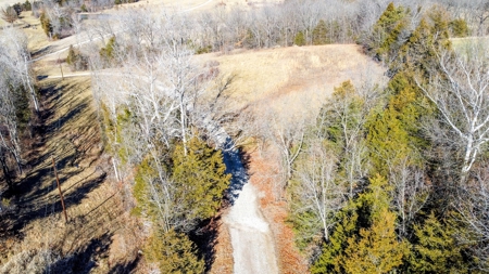 Online Only Auction Moniteau County, MO Farm Land - image 2