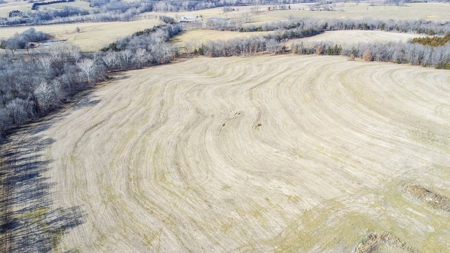 Online Only Auction Moniteau County, MO Farm Land - image 23