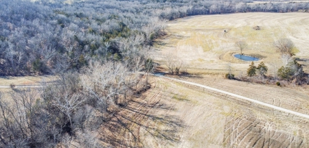Online Only Auction Moniteau County, MO Farm Land - image 12