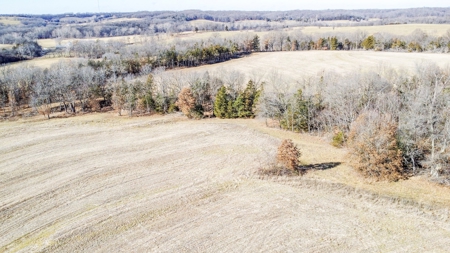 Online Only Auction Moniteau County, MO Farm Land - image 13
