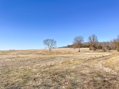 Online Only Auction Moniteau County, MO Farm Land - image 30