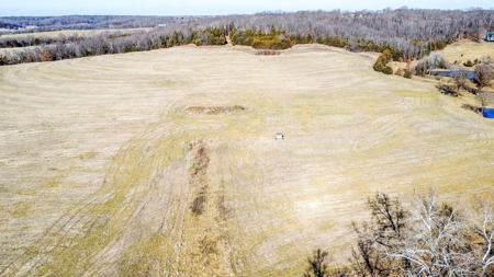 Online Only Auction Moniteau County, MO Farm Land - image 7