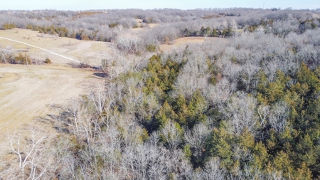 Online Only Auction Moniteau County, MO Farm Land - image 6