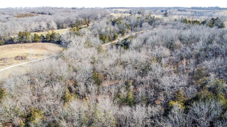 Online Only Auction Moniteau County, MO Farm Land - image 4
