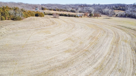 Online Only Auction Moniteau County, MO Farm Land - image 15