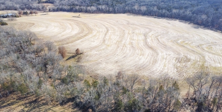 Online Only Auction Moniteau County, MO Farm Land - image 18