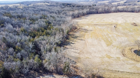 Online Only Auction Moniteau County, MO Farm Land - image 11