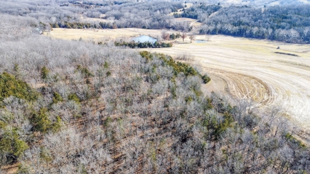 Online Only Auction Moniteau County, MO Farm Land - image 17