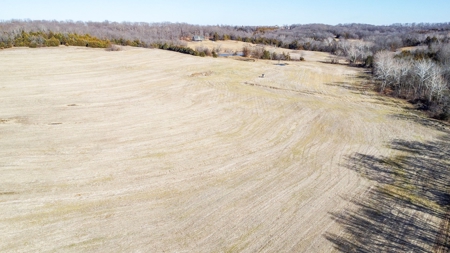 Online Only Auction Moniteau County, MO Farm Land - image 8