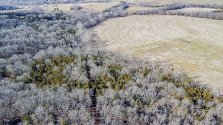 Online Only Auction Moniteau County, MO Farm Land - image 24