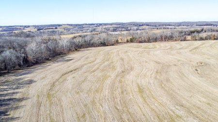 Online Only Auction Moniteau County, MO Farm Land - image 9