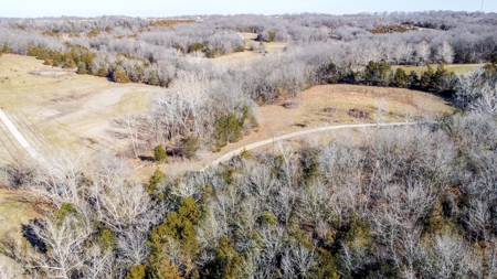 Online Only Auction Moniteau County, MO Farm Land - image 5
