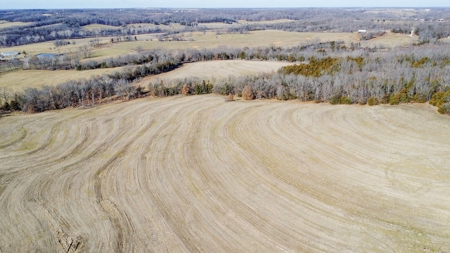 Online Only Auction Moniteau County, MO Farm Land - image 22