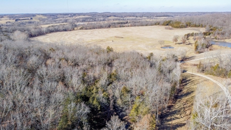 Online Only Auction Moniteau County, MO Farm Land - image 27