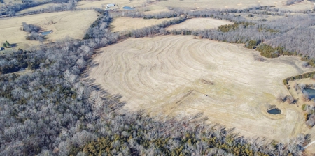 Online Only Auction Moniteau County, MO Farm Land - image 25