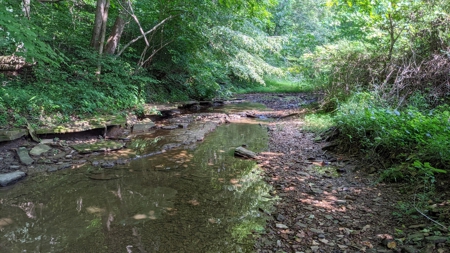 105 Acres Bordering Tar Hollow State Park - image 6