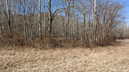 105 Acres Bordering Tar Hollow State Park - image 30
