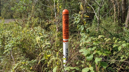 105 Acres Bordering Tar Hollow State Park - image 21