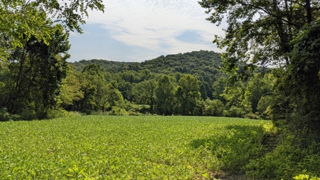 105 Acres Bordering Tar Hollow State Park - image 10