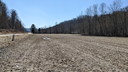 105 Acres Bordering Tar Hollow State Park - image 25