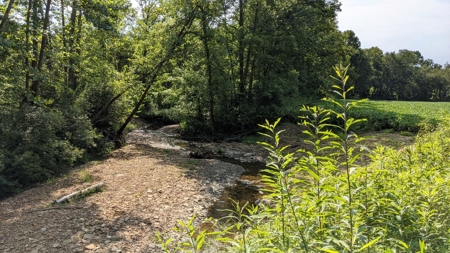 105 Acres Bordering Tar Hollow State Park - image 7