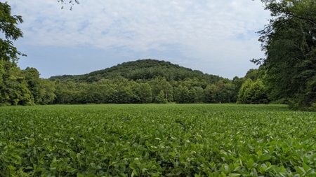 105 Acres Bordering Tar Hollow State Park - image 19